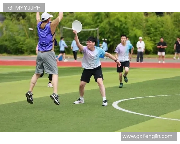 南京飞盘队比赛经验分享与技巧分析助力团队提升竞技水平