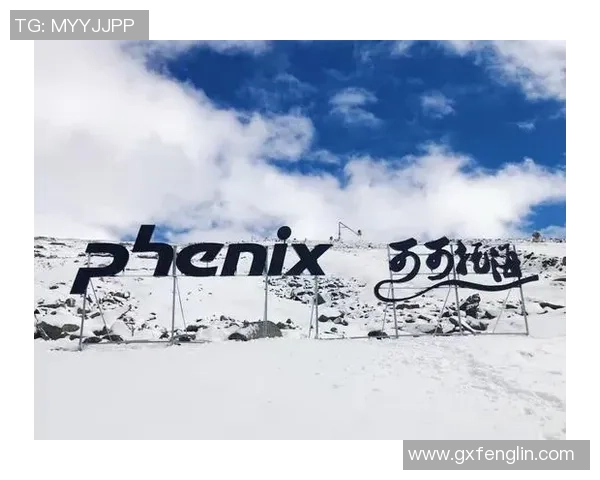 上海攀岩队创新盯防策略助力竞技水平提升的深度解析