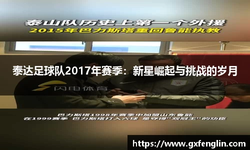 泰达足球队2017年赛季：新星崛起与挑战的岁月